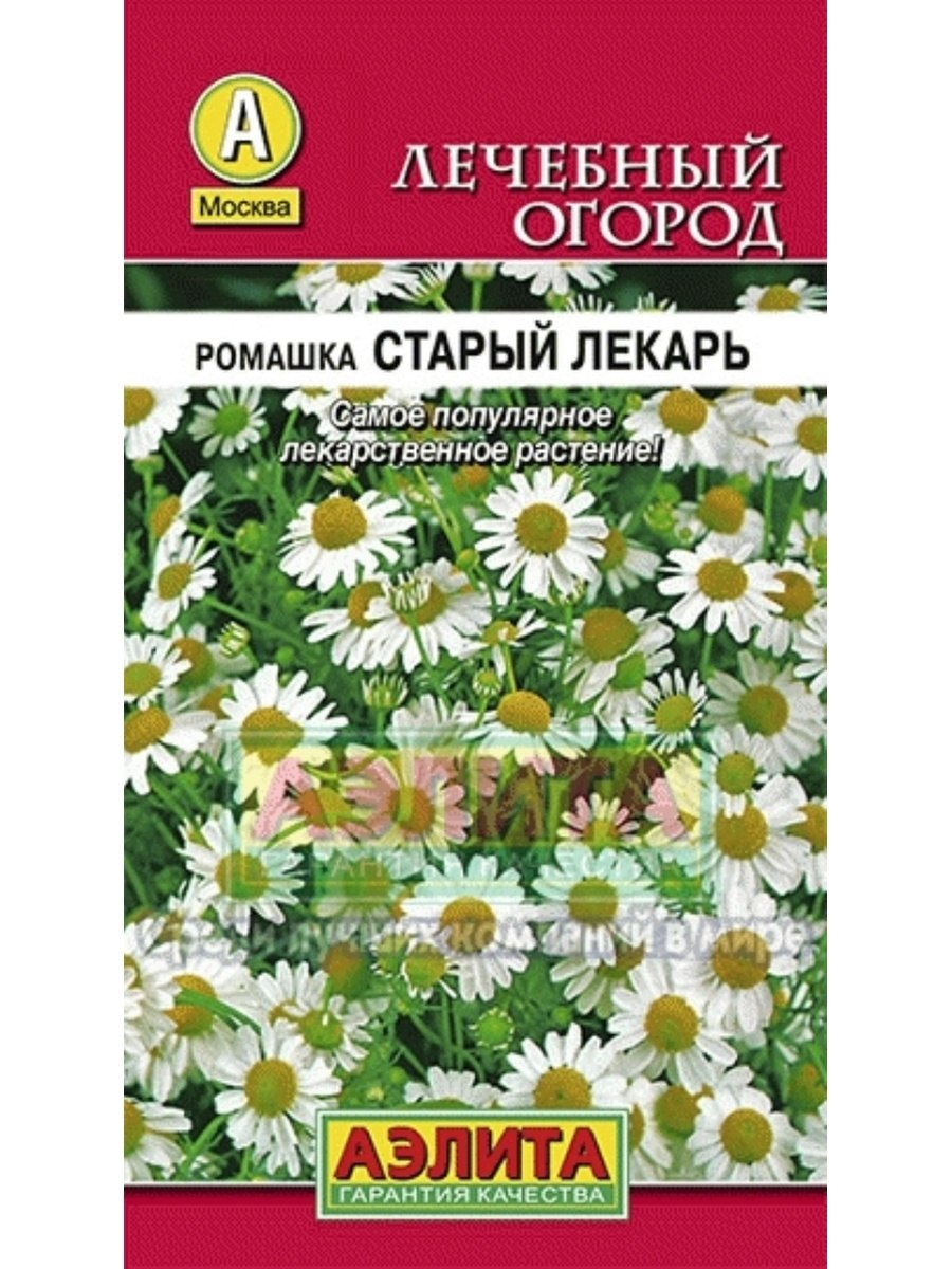 Ромашка аптечная Подмосковная