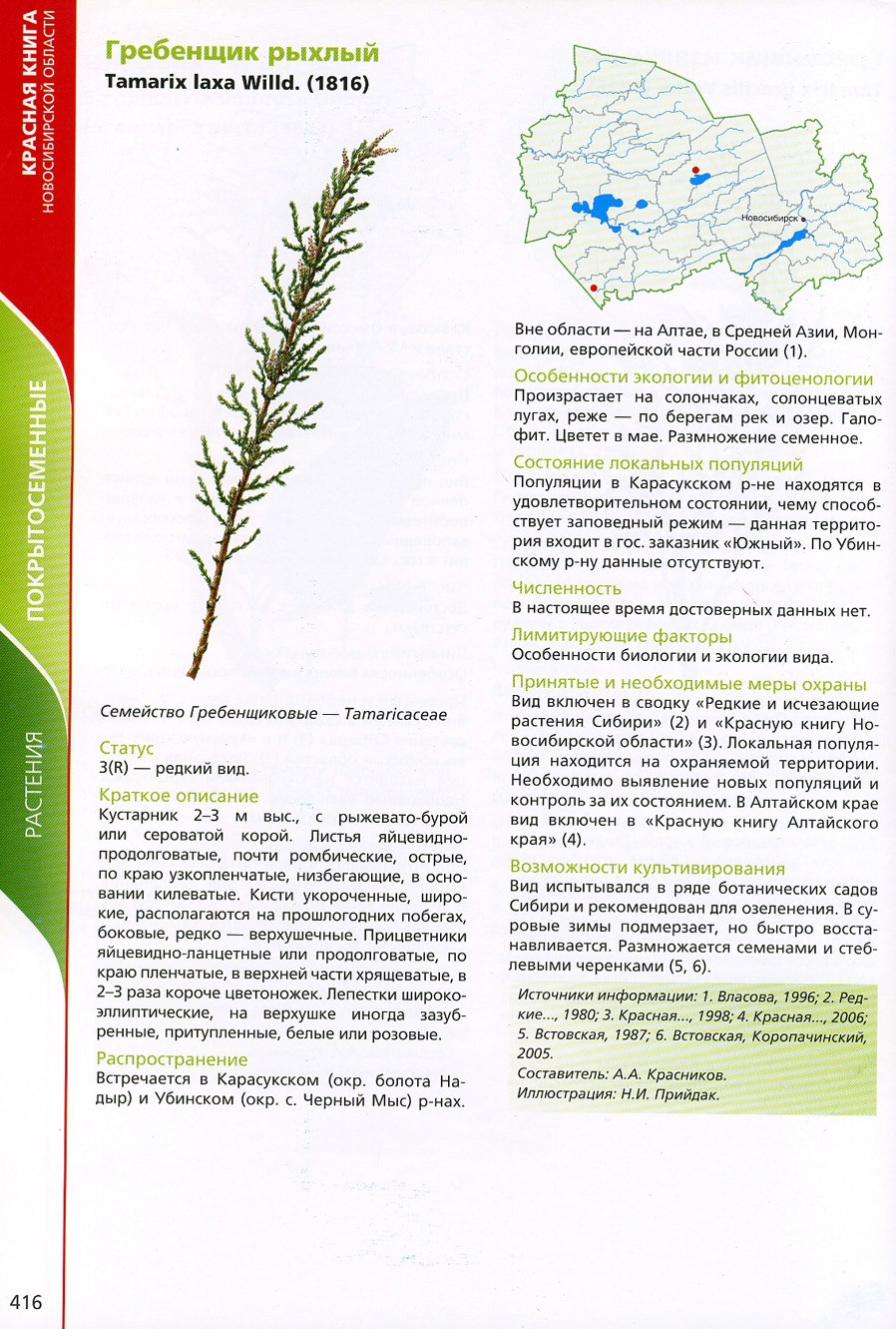 Ирис Сибирский описание красная книга Новосибирской области-