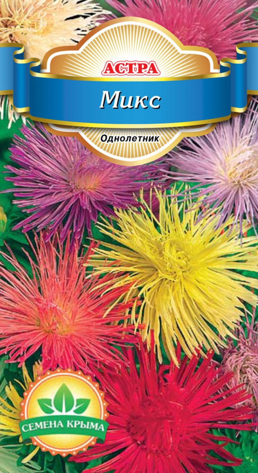 Астра пионовидная Фламир