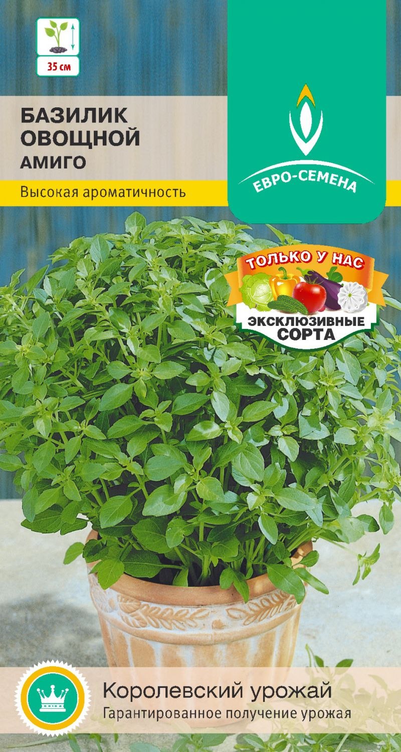 Базилик Мэджик Блю