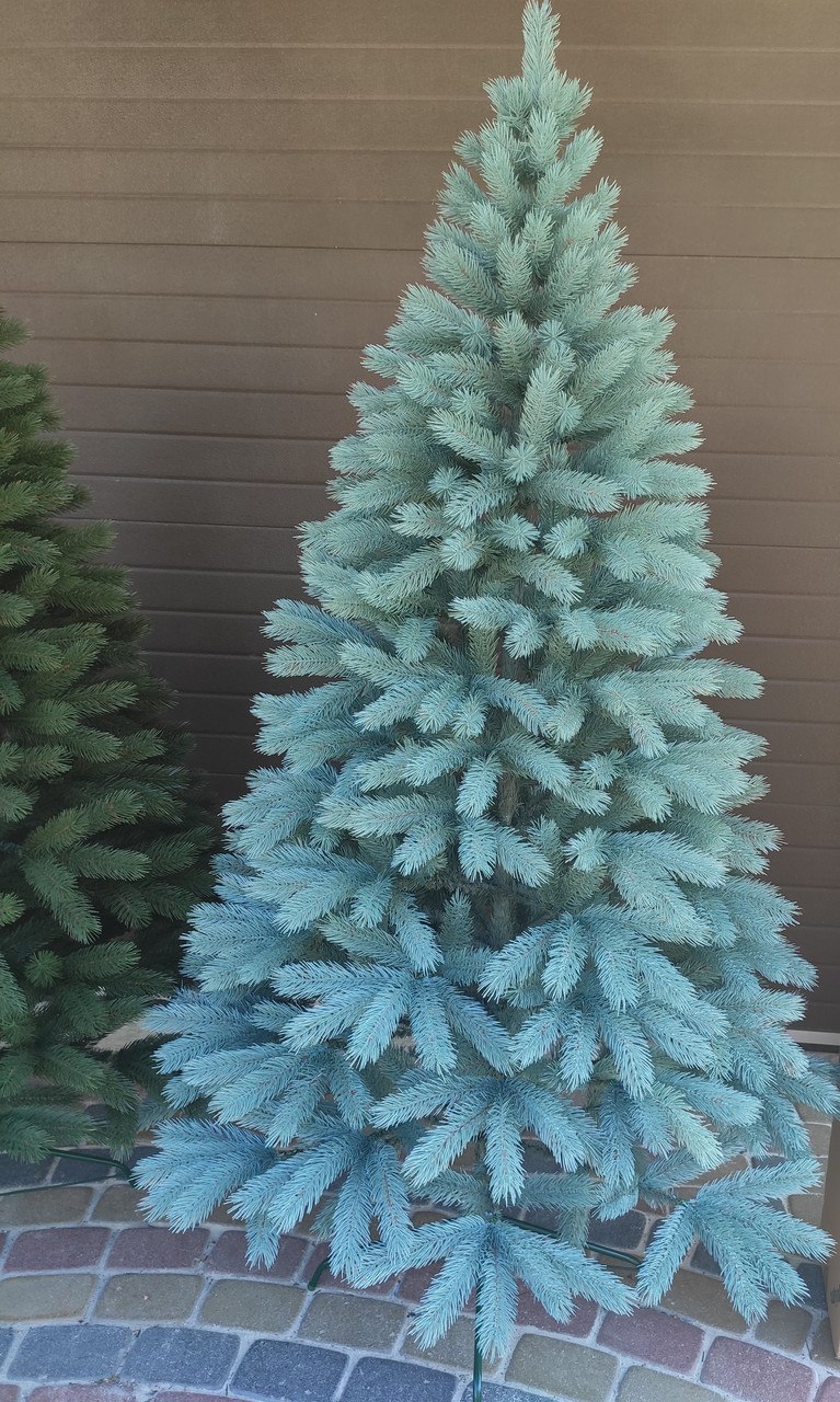 Ель Буковельская литая голубая