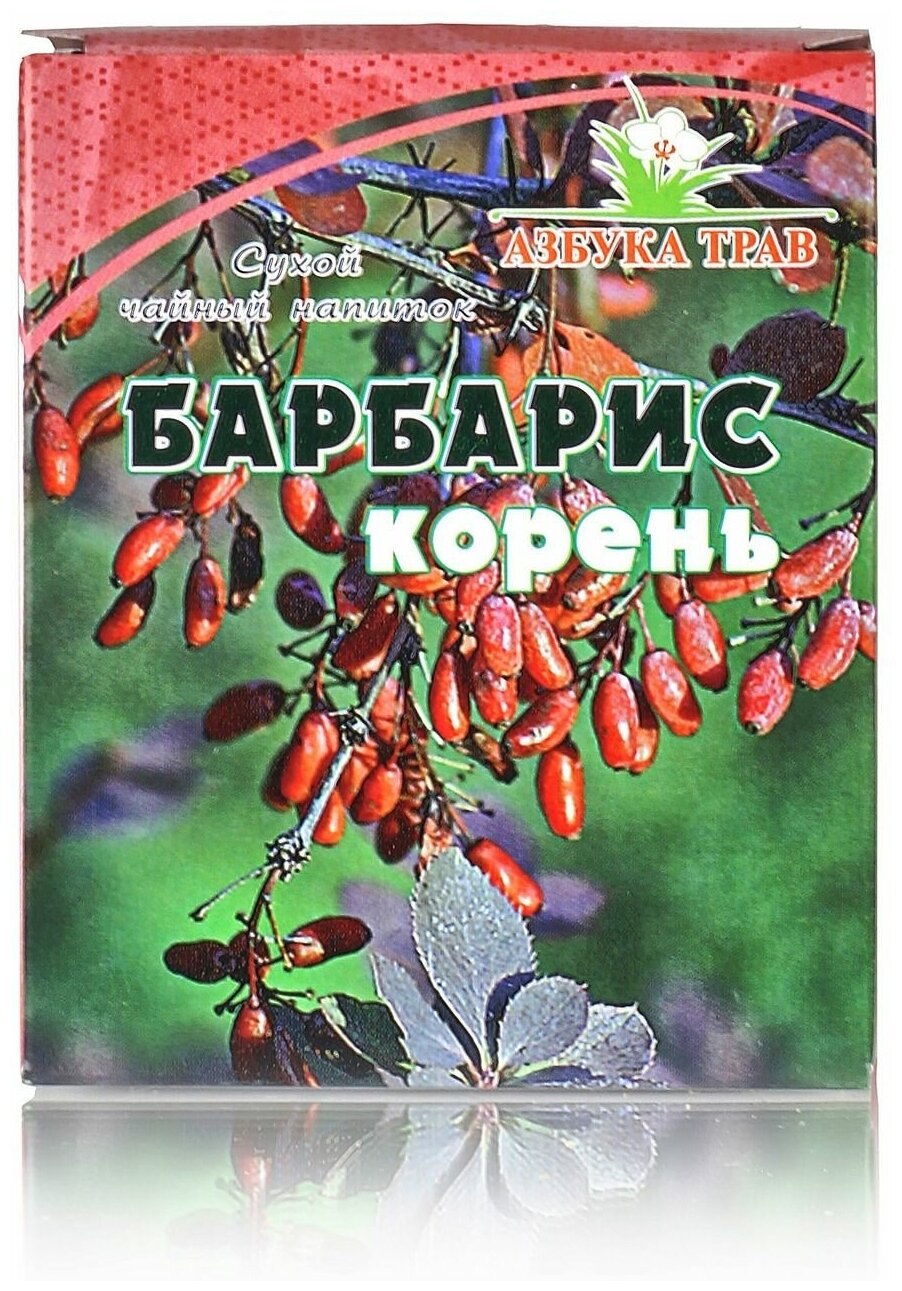 Барбарис монетчатый