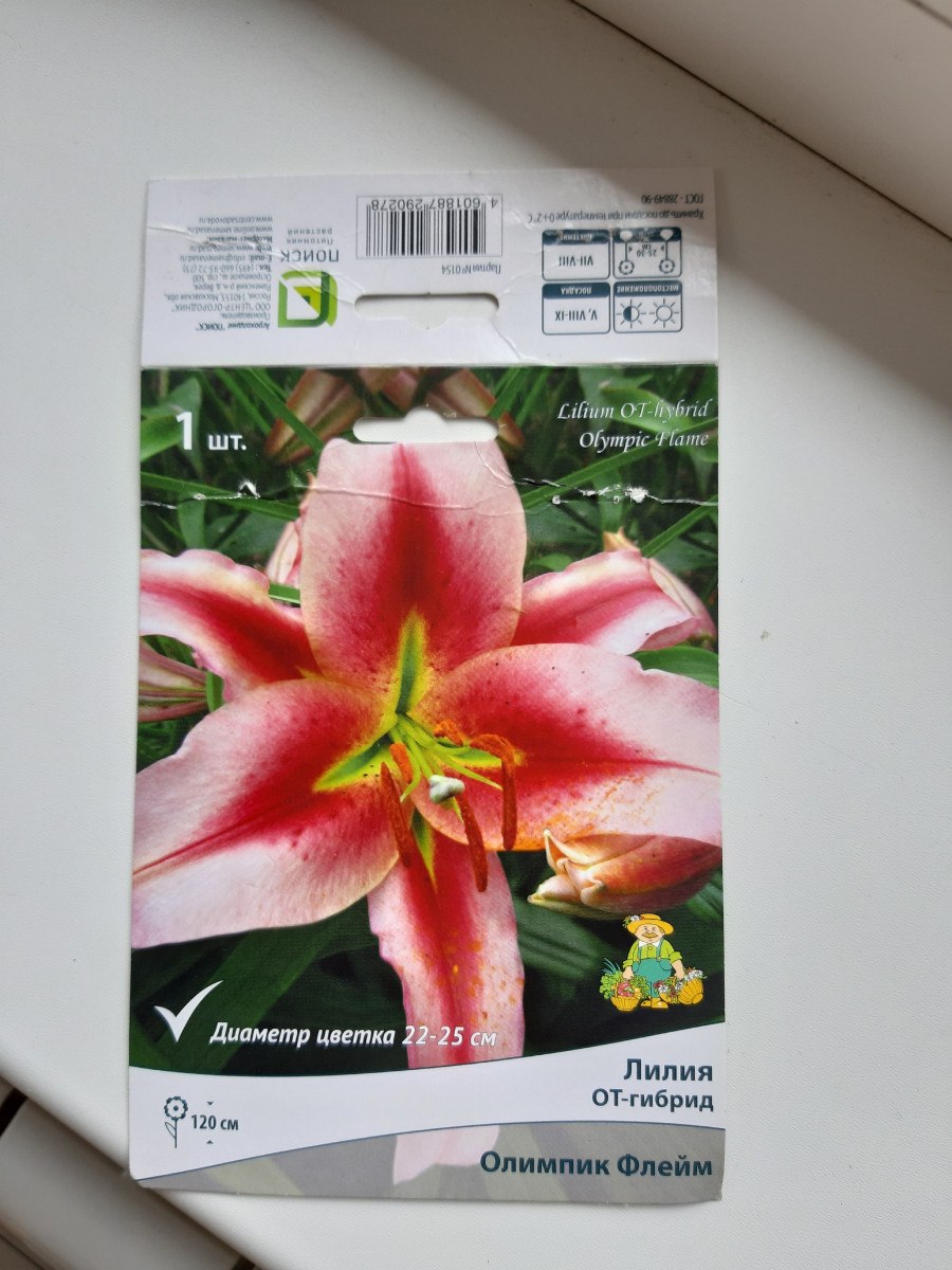 Лилия от Олимпик торч