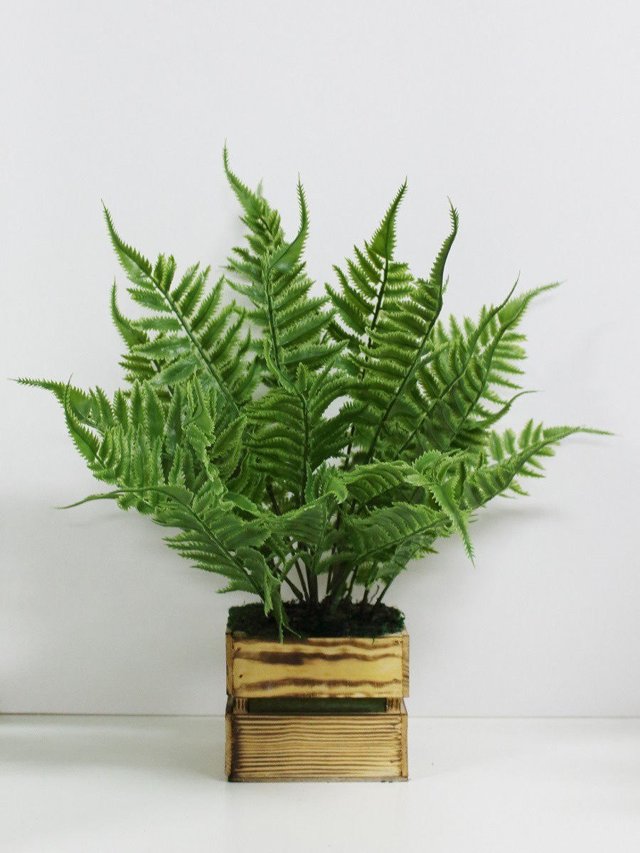 Искусственный папоротник нефролепис