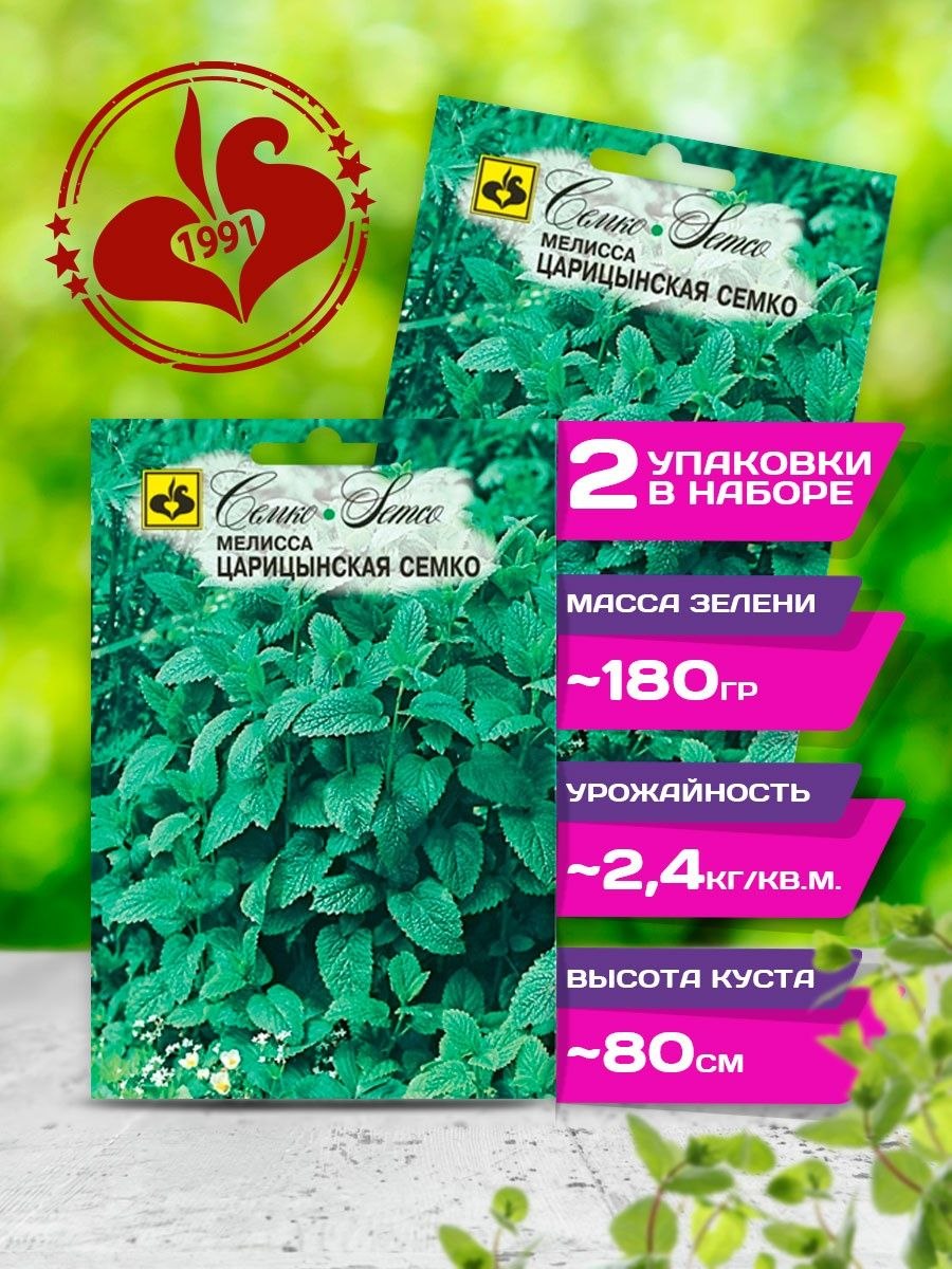 Мелисса лекарственная Жемчужина