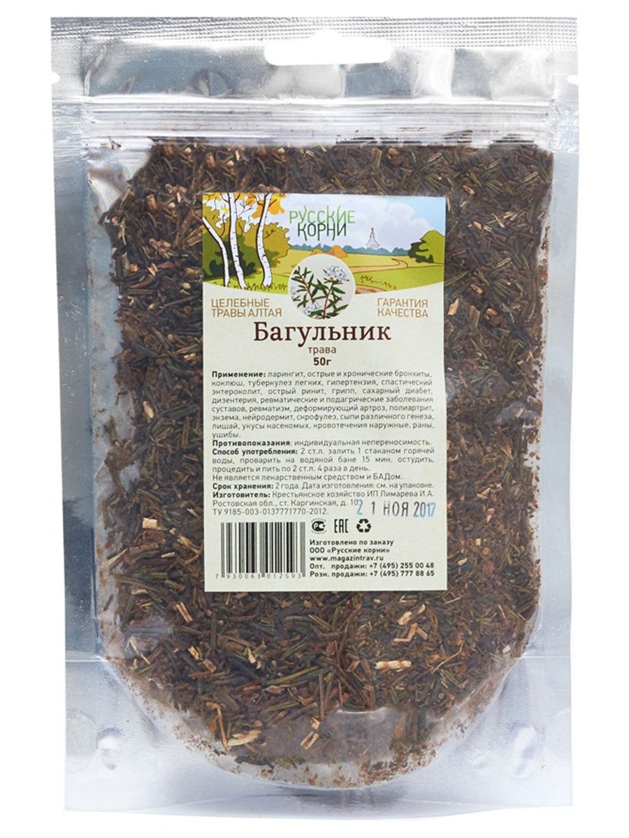 Рододендрон багульник Дальневосточный