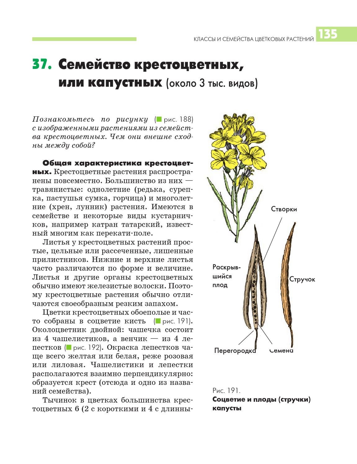 Крестоцветные убивают рак или щитовидную железу?