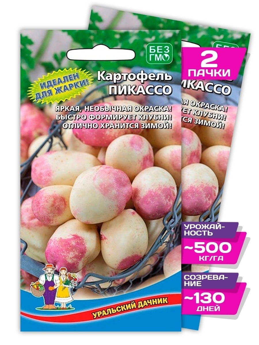 Сорт картофеля Жуковский ранний