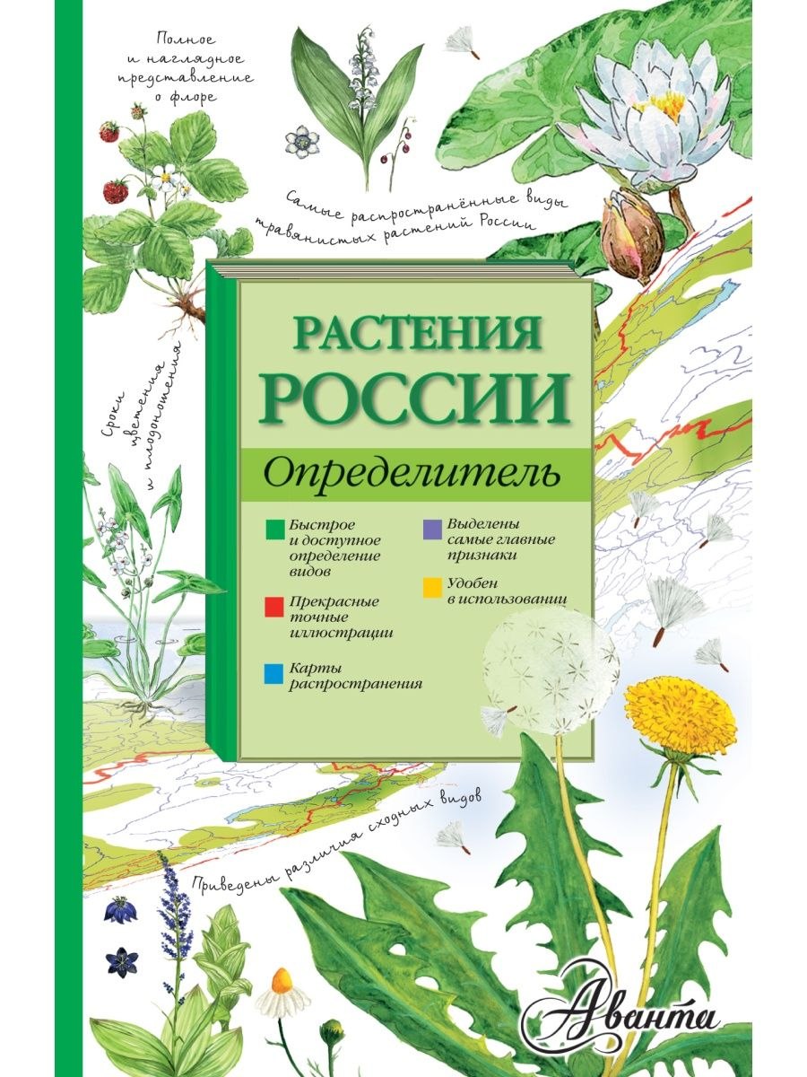 Растения россии ботаника