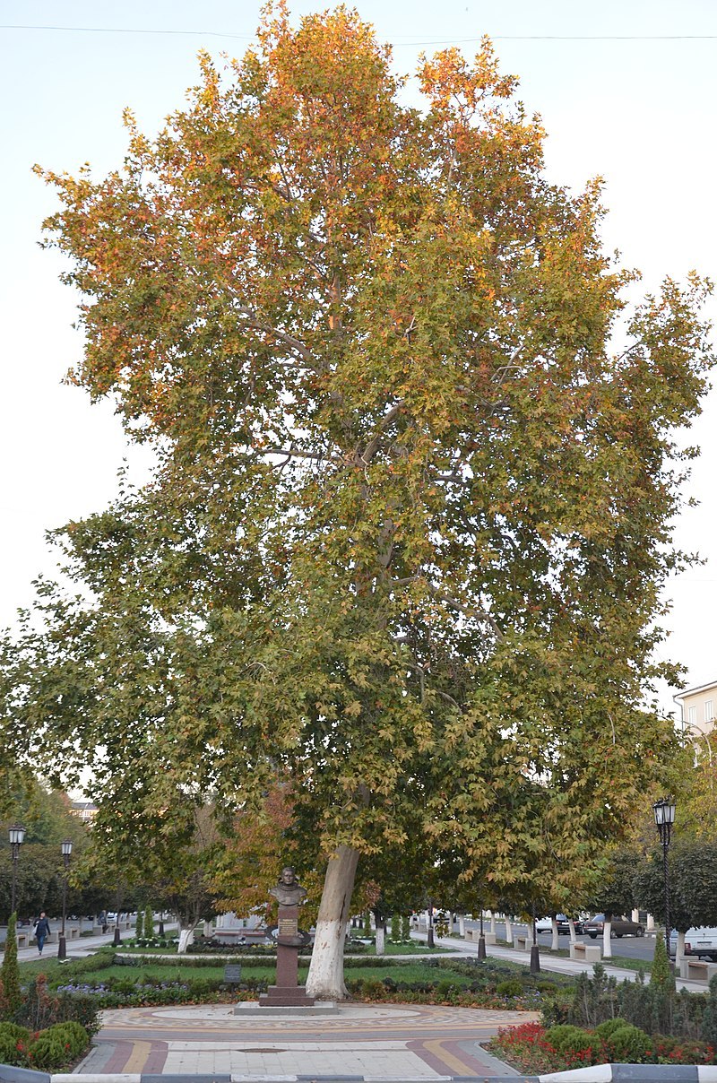 Лермонтовский проспект 4