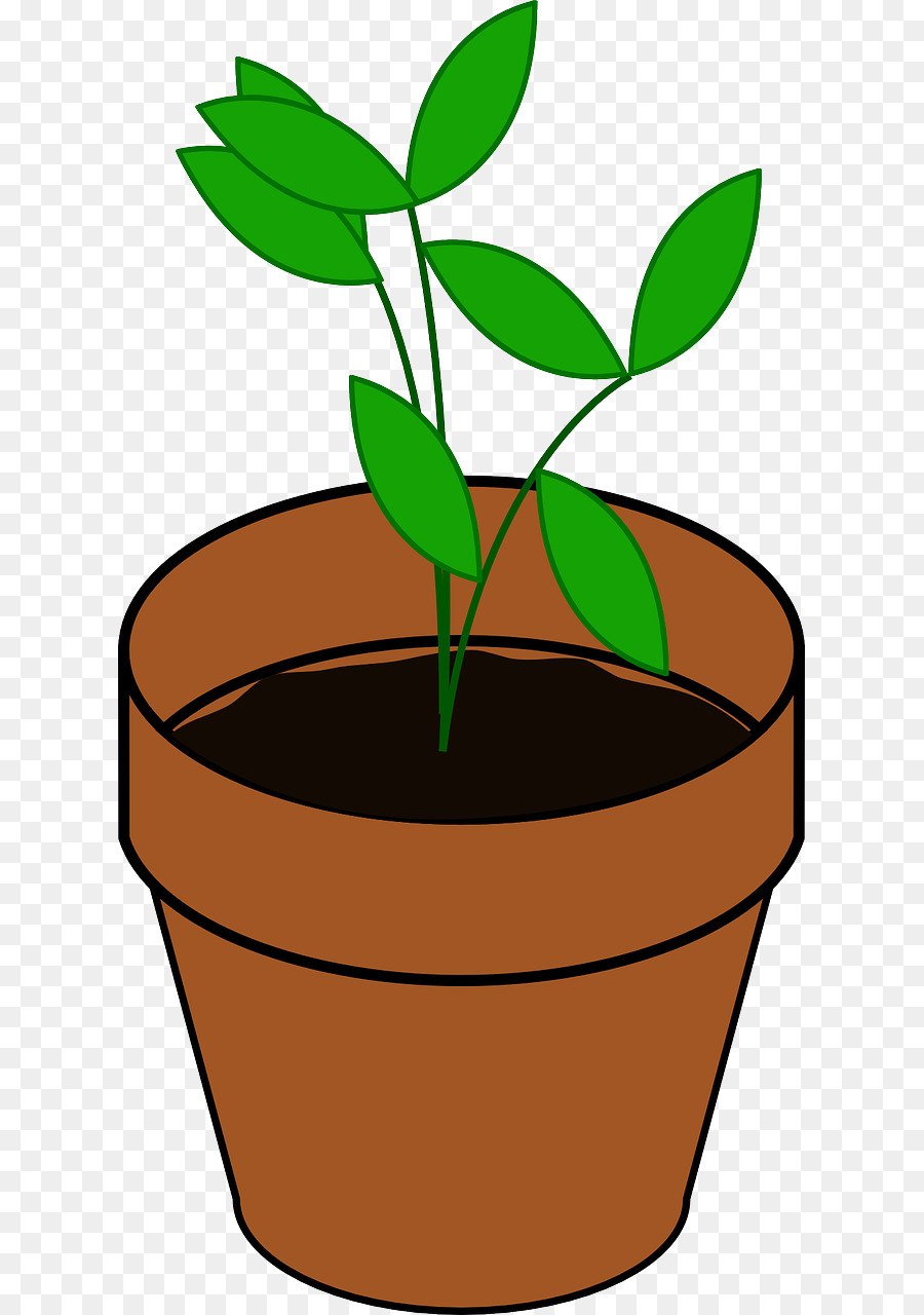 Горшочки с ростками для детей