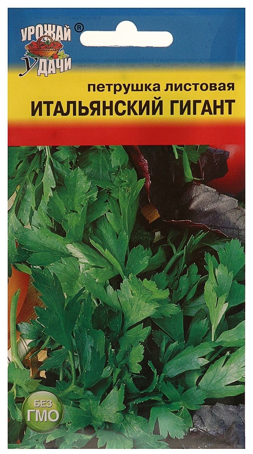 Петрушка итальянский гигант 2гр. Аэлита