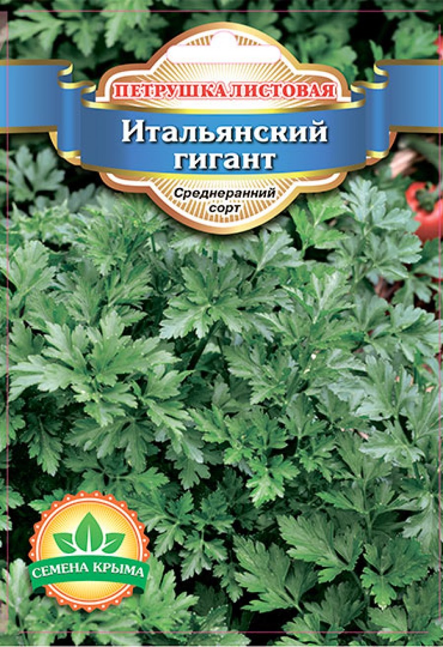 Петрушка листовая итальянский гигант