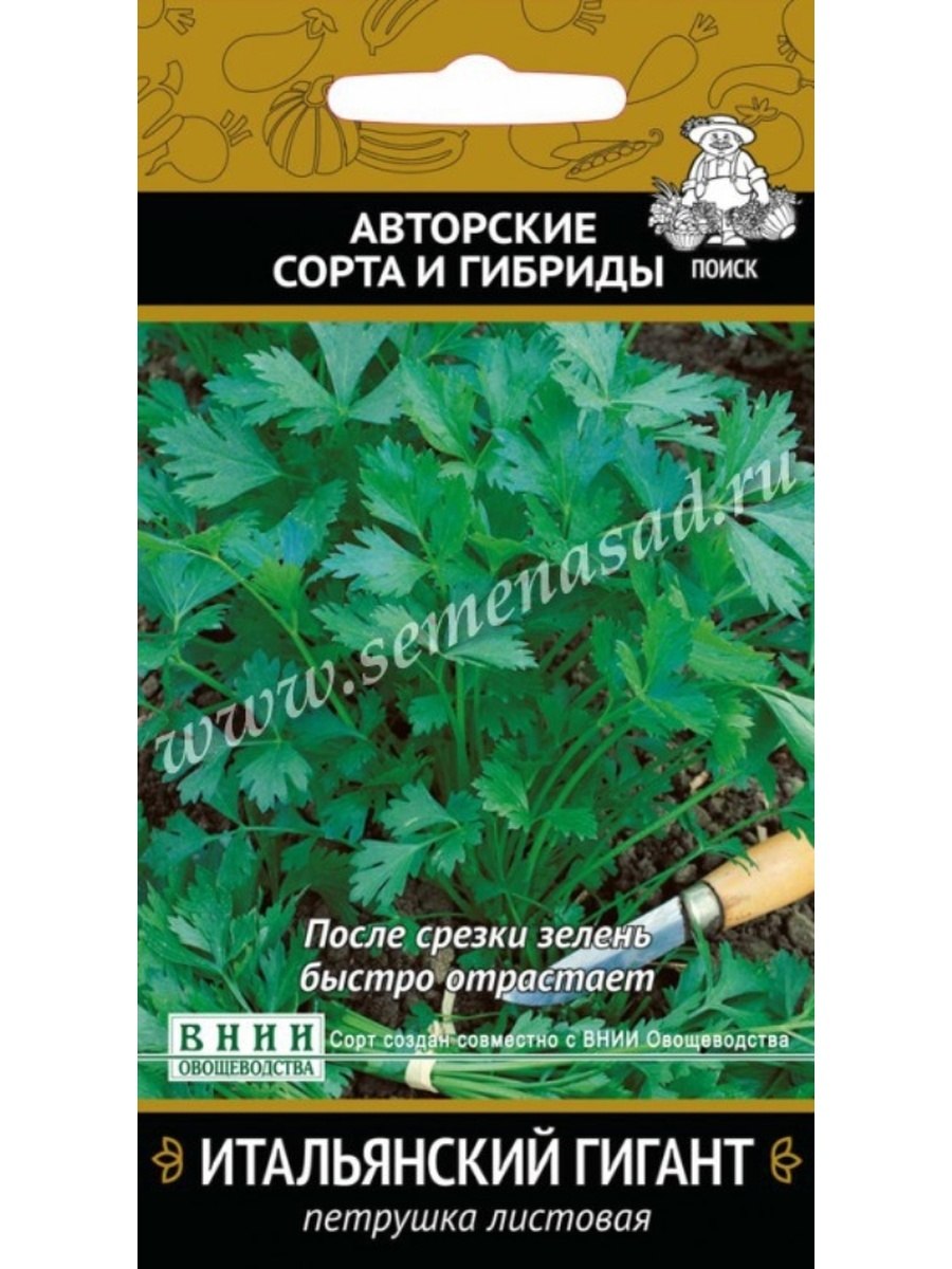 Петрушка итальянский гигант Семко
