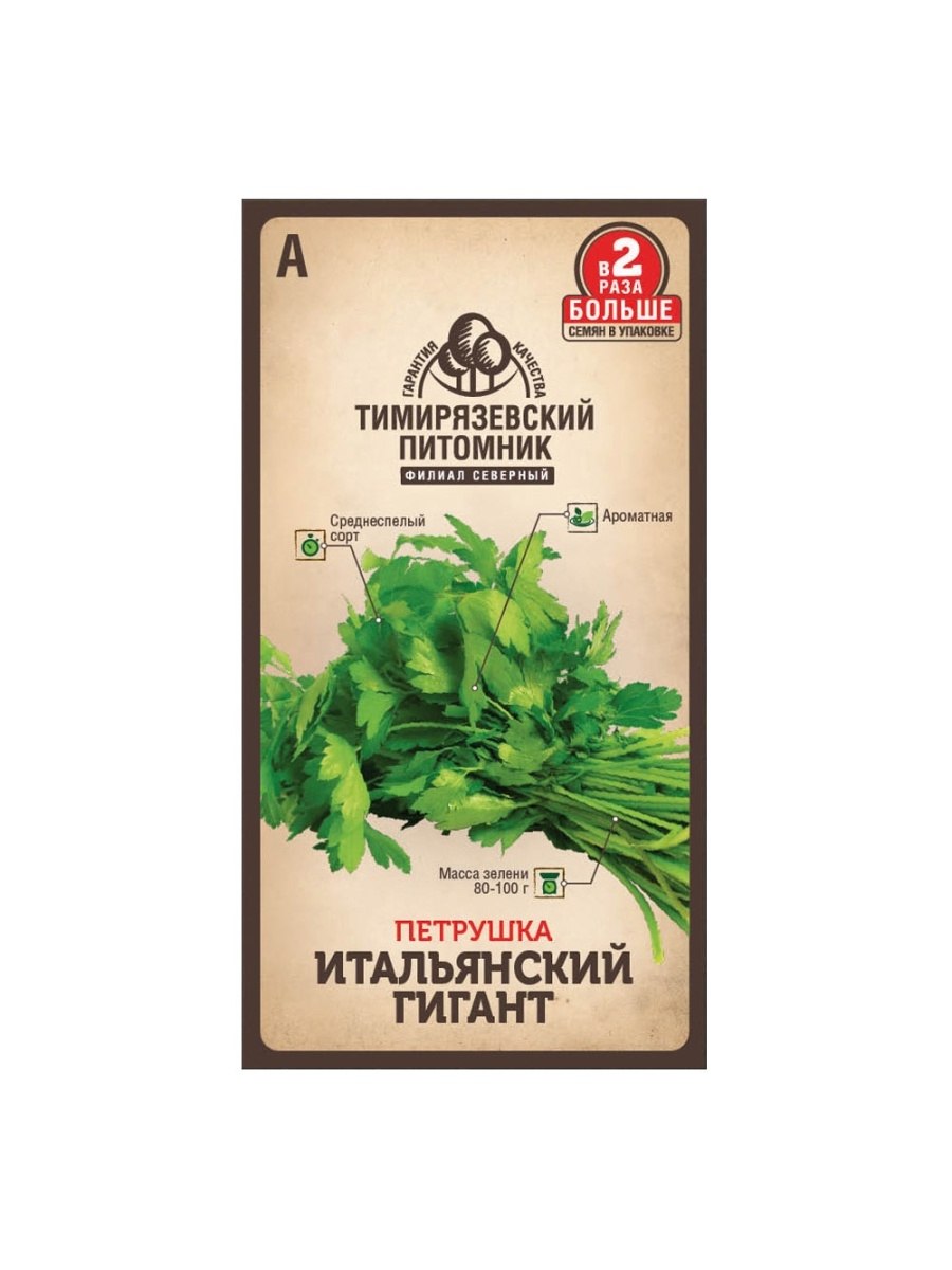 Сорт петрушки итальянский гигант