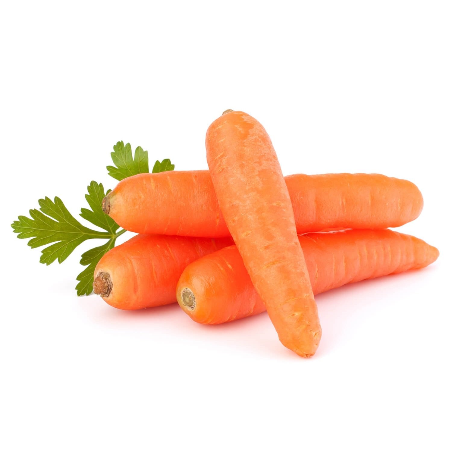 фото моркови на белом фоне