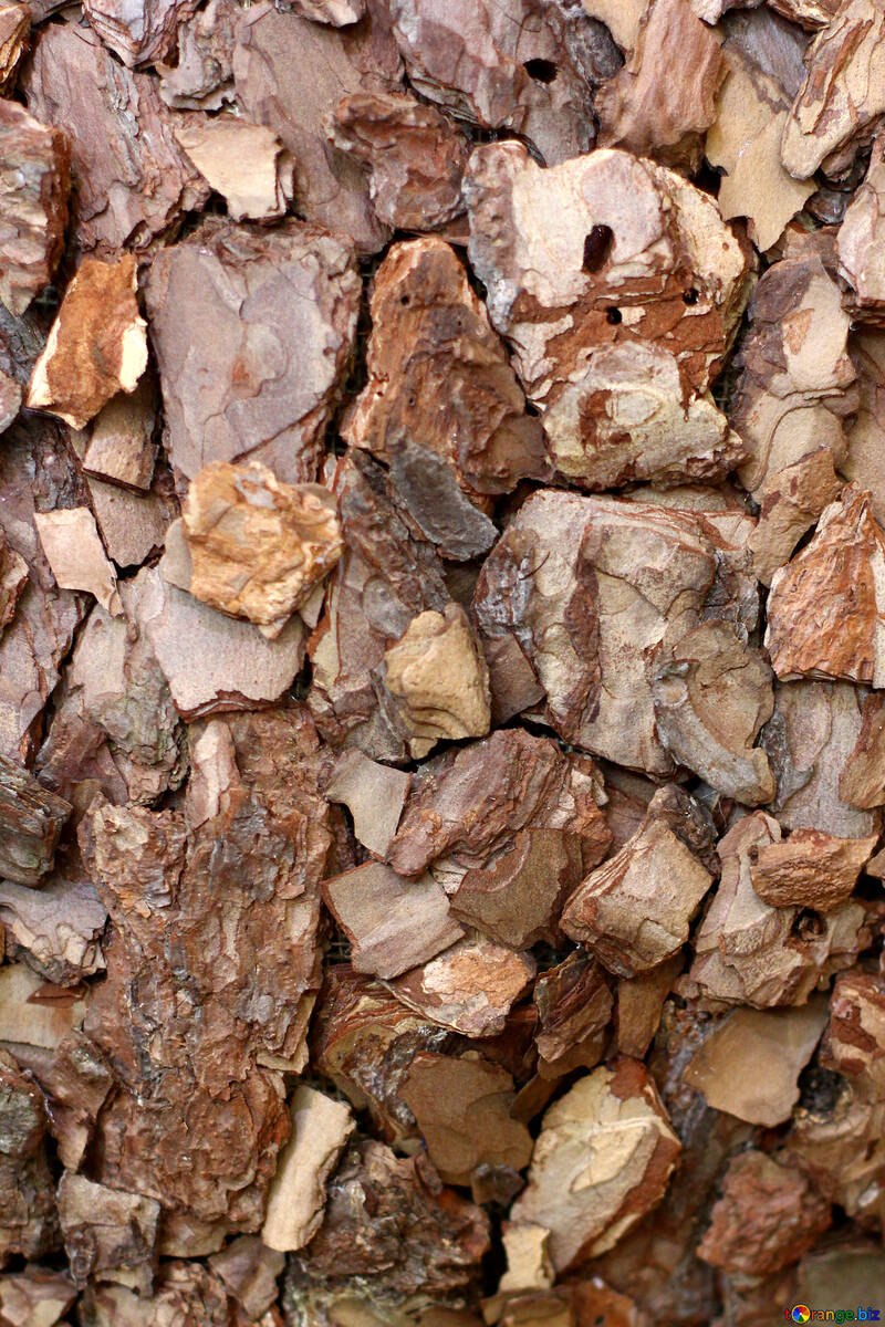 Стулья из пеньков