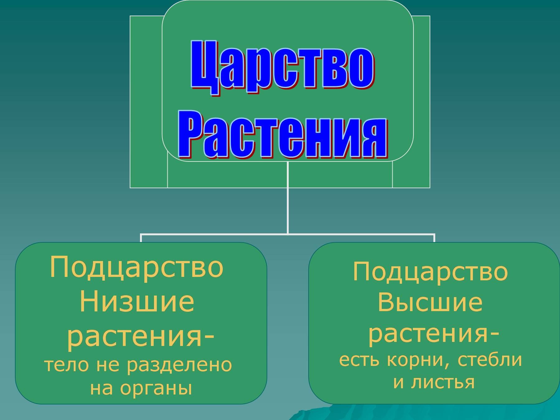 Низшие растения это в биологии