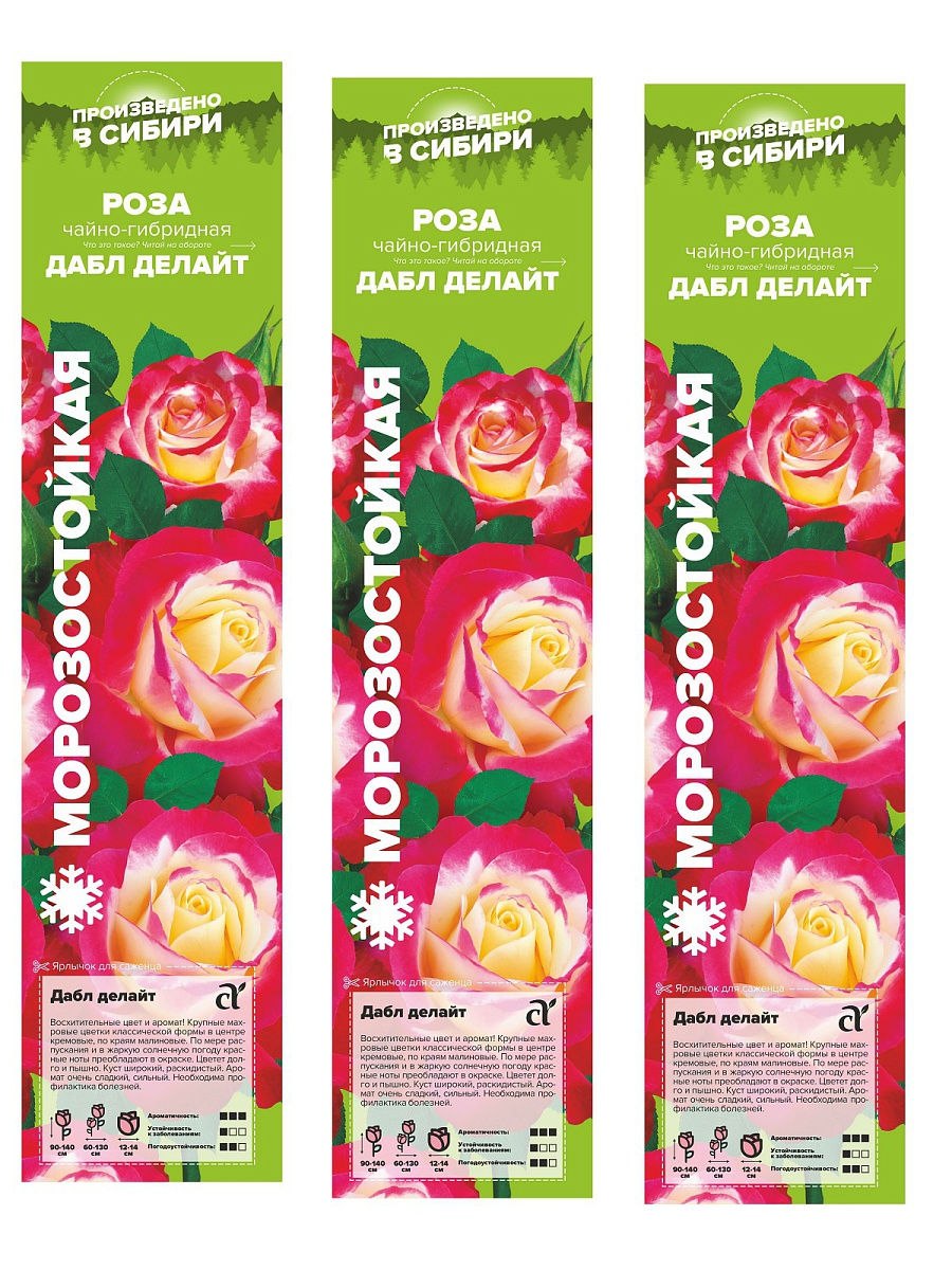 Подсолнечник форвард