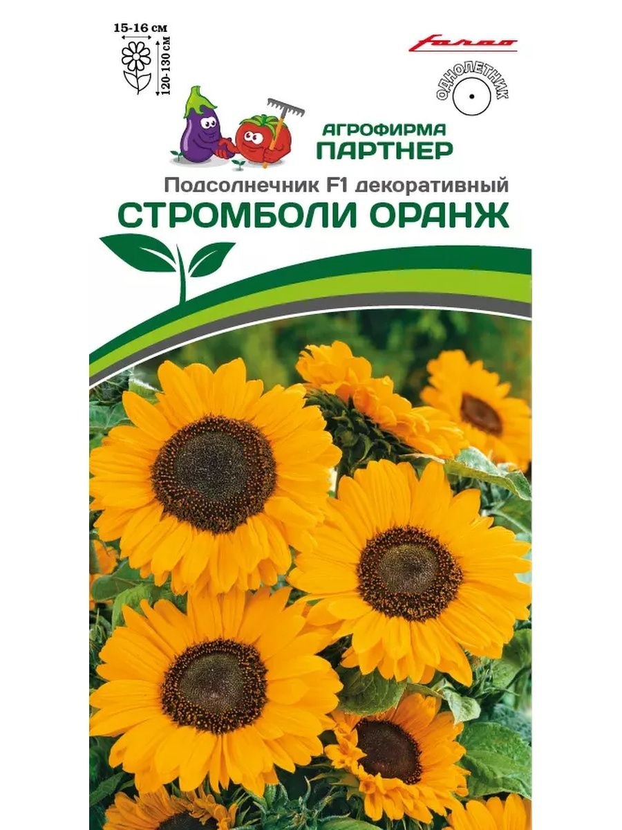 Двухцветный сорт розы Double Delight