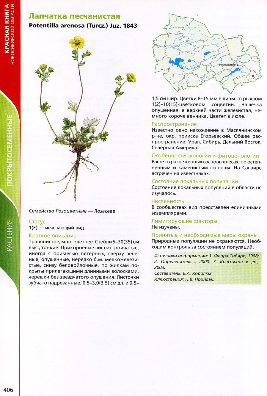 Растения красной книги Челябинской области