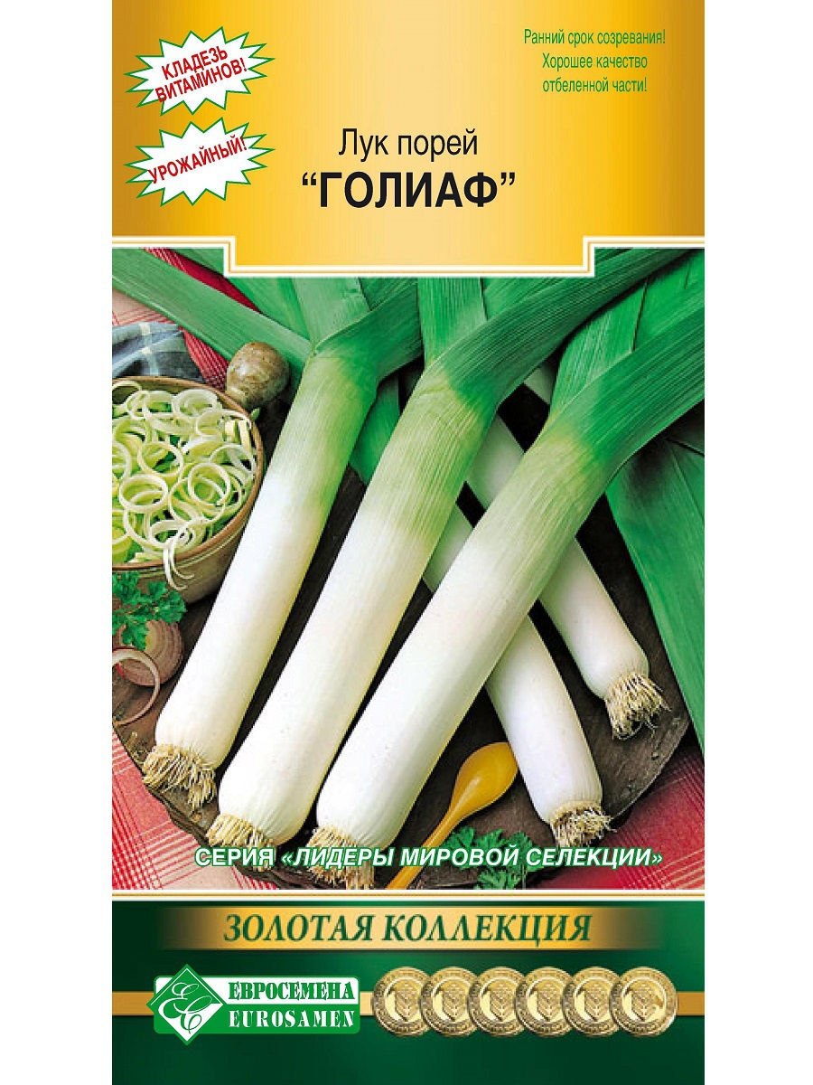 Лук латук семена