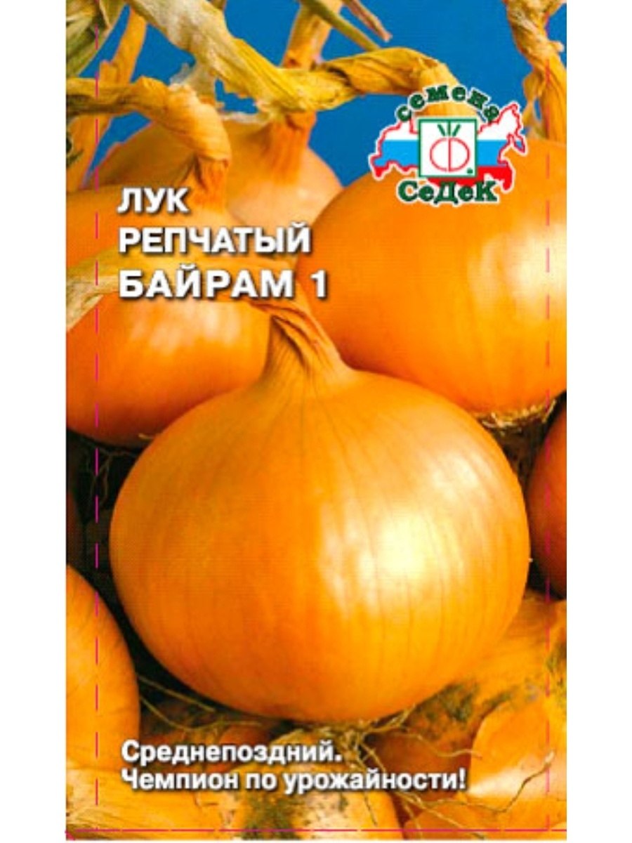 Лук фермер СЕДЕК