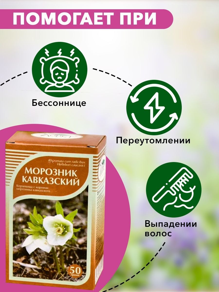 Трава кавказский морозник кавказский