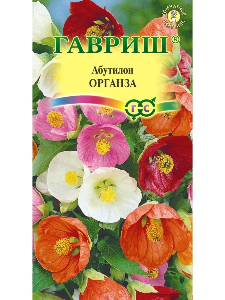 Клен Цветущий розовыми цветами