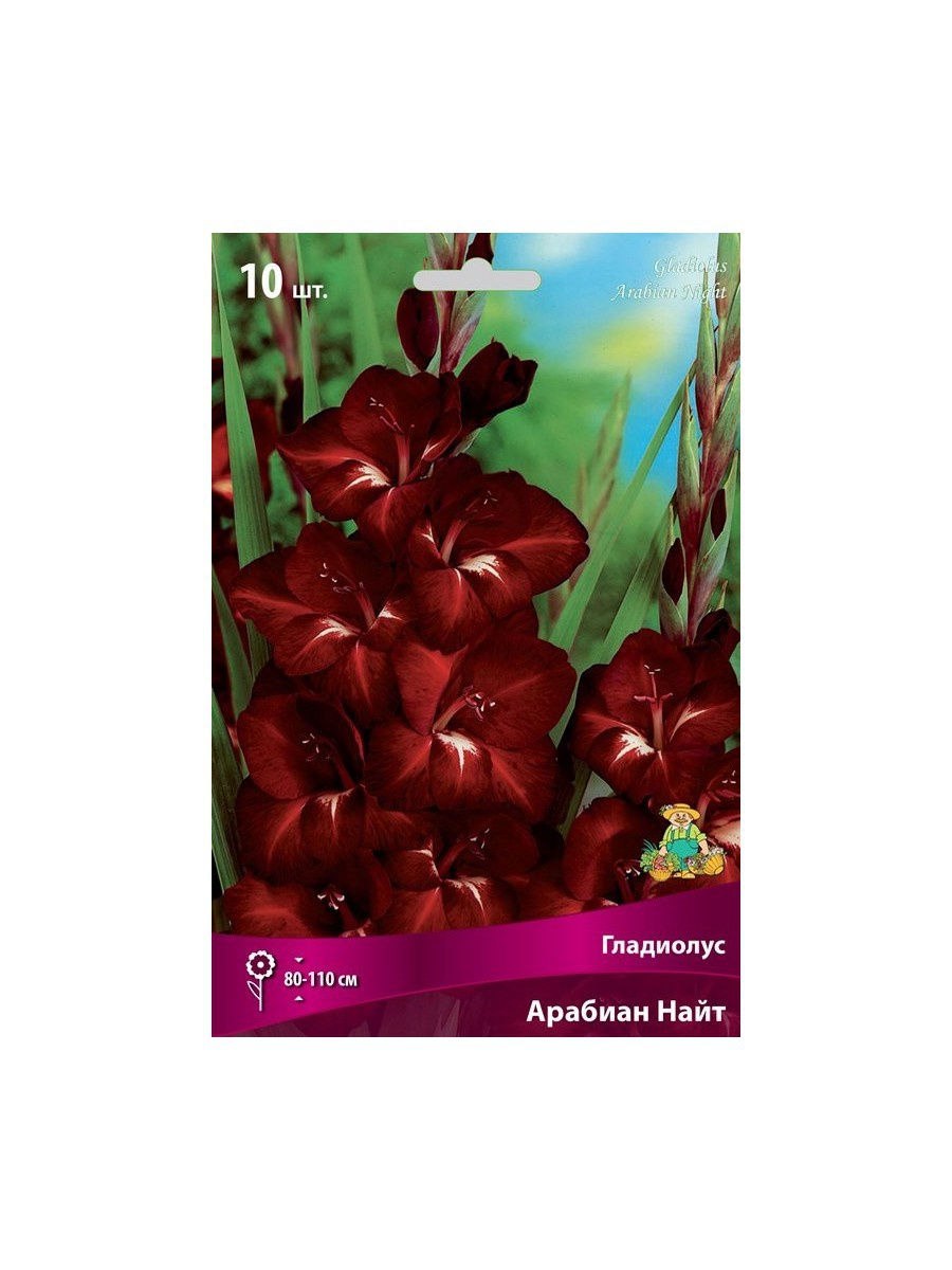 Лилия мартагон ред