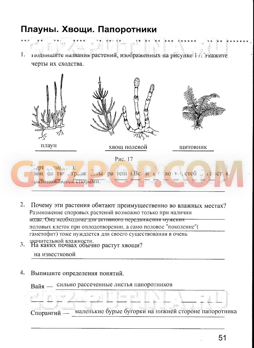 Таблица по биологии эры и периоды 9 класс