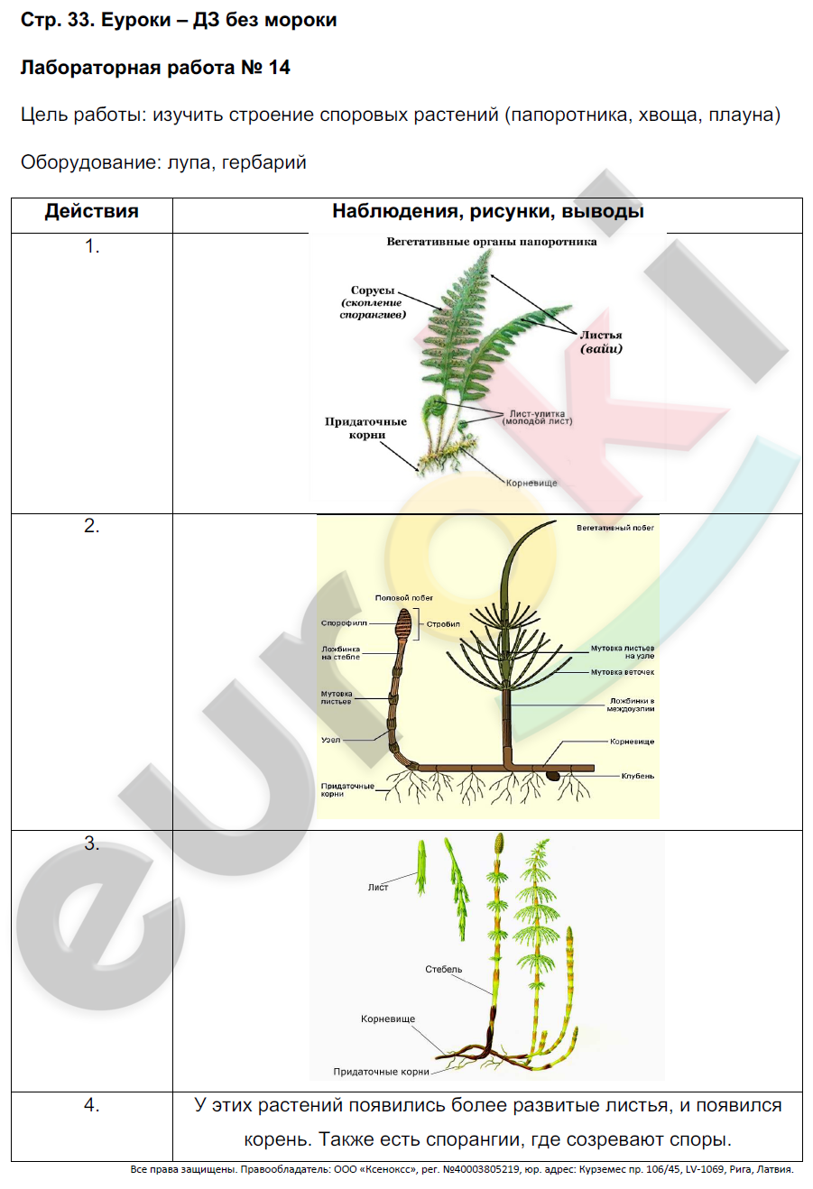 Дерево видов живых организмов