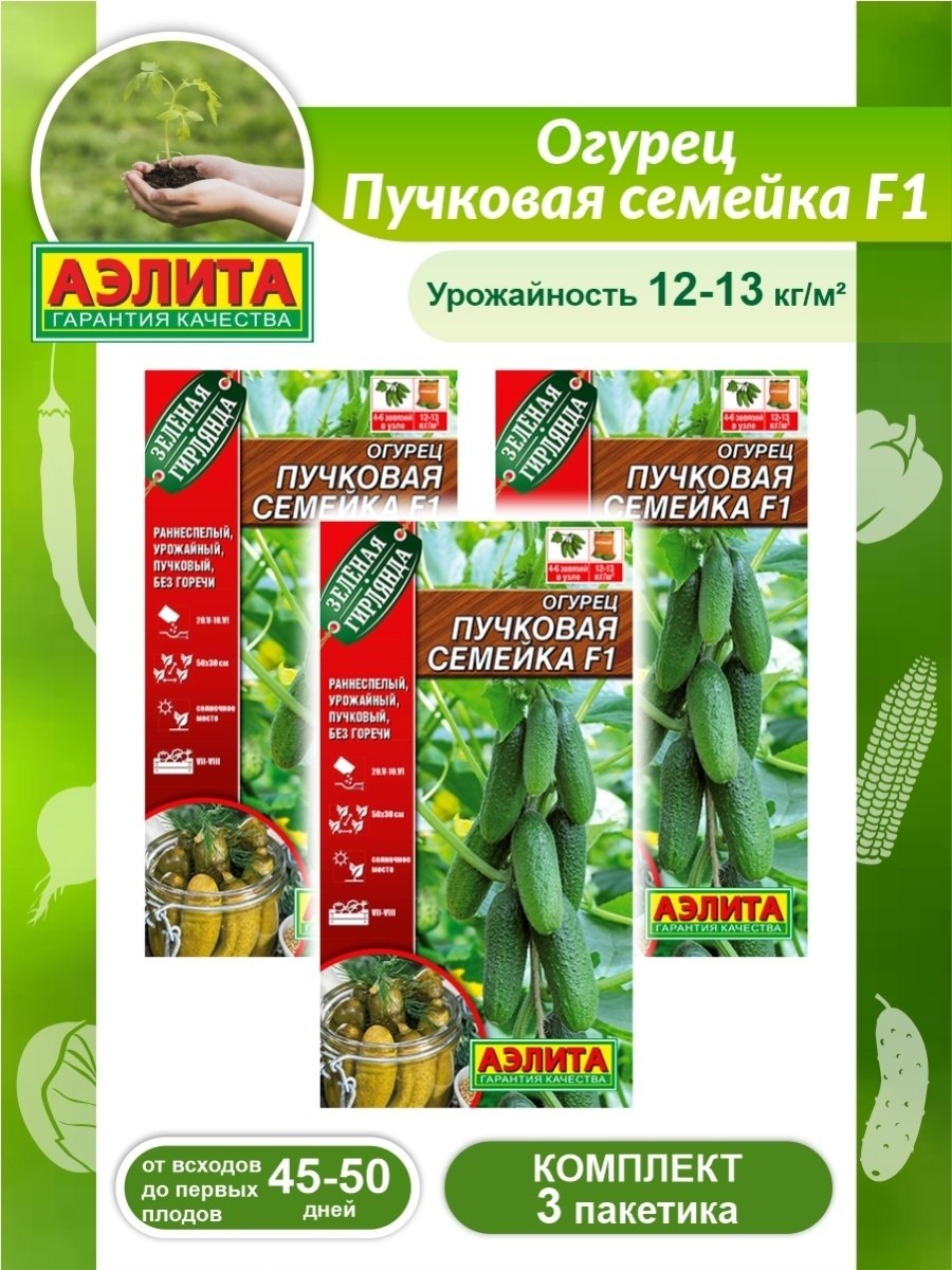 Огурец пучковая семейка Аэлита