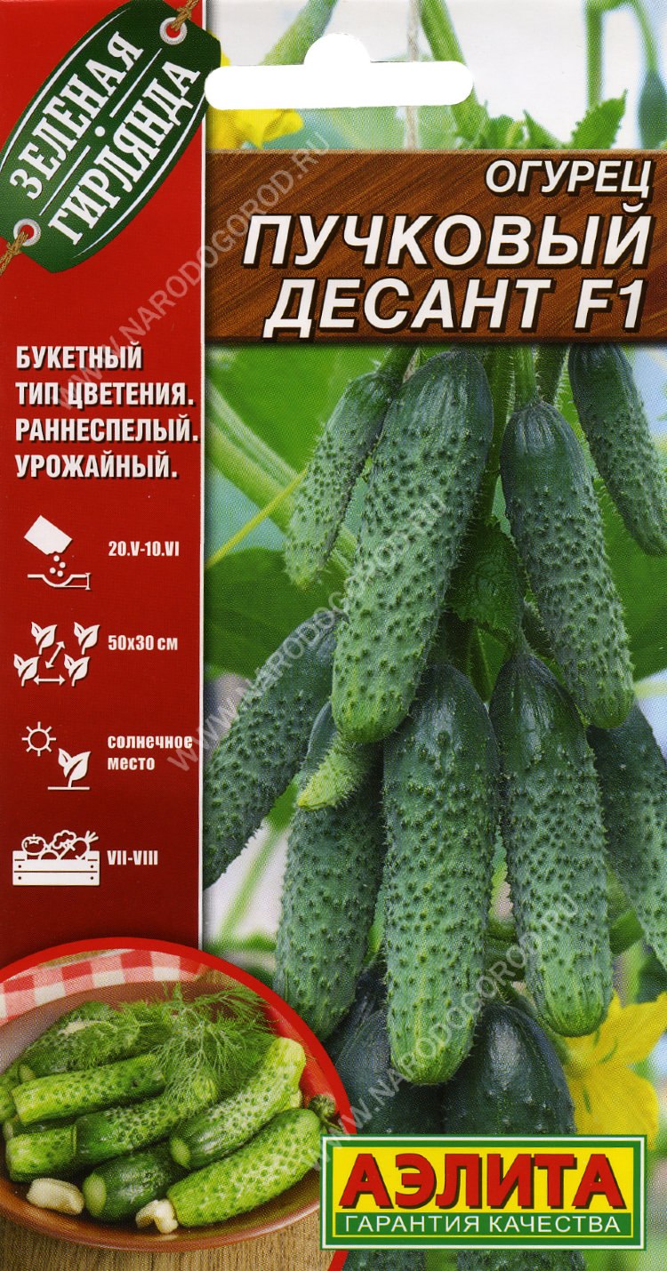 Огурец зеленая гирлянда f1 Аэлита