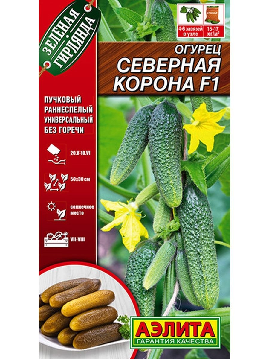 Огурец Северный букет