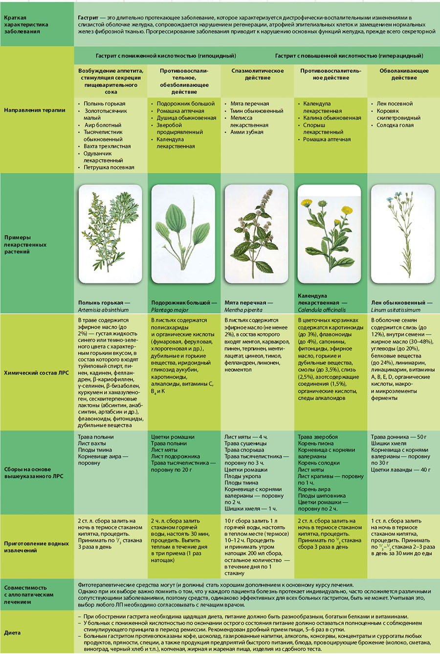Календарь сбора лекарственных растений