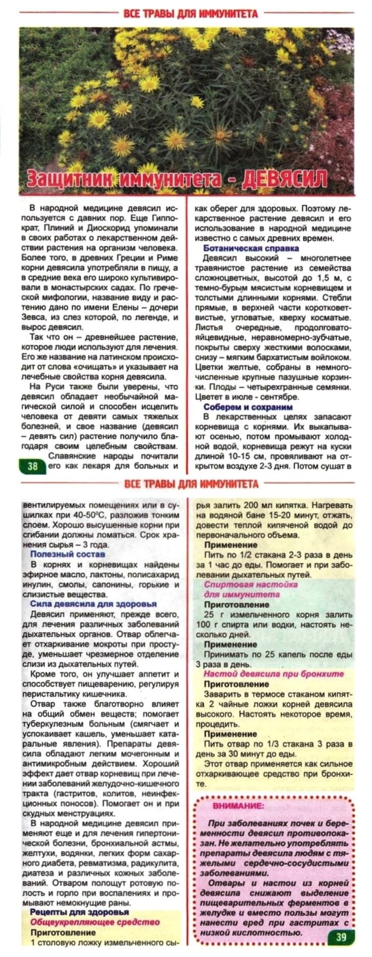 Лечебные лекарственные травы чабрец