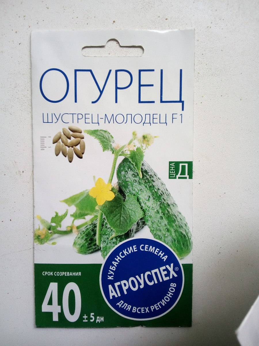 Семена огурец Агроуспех
