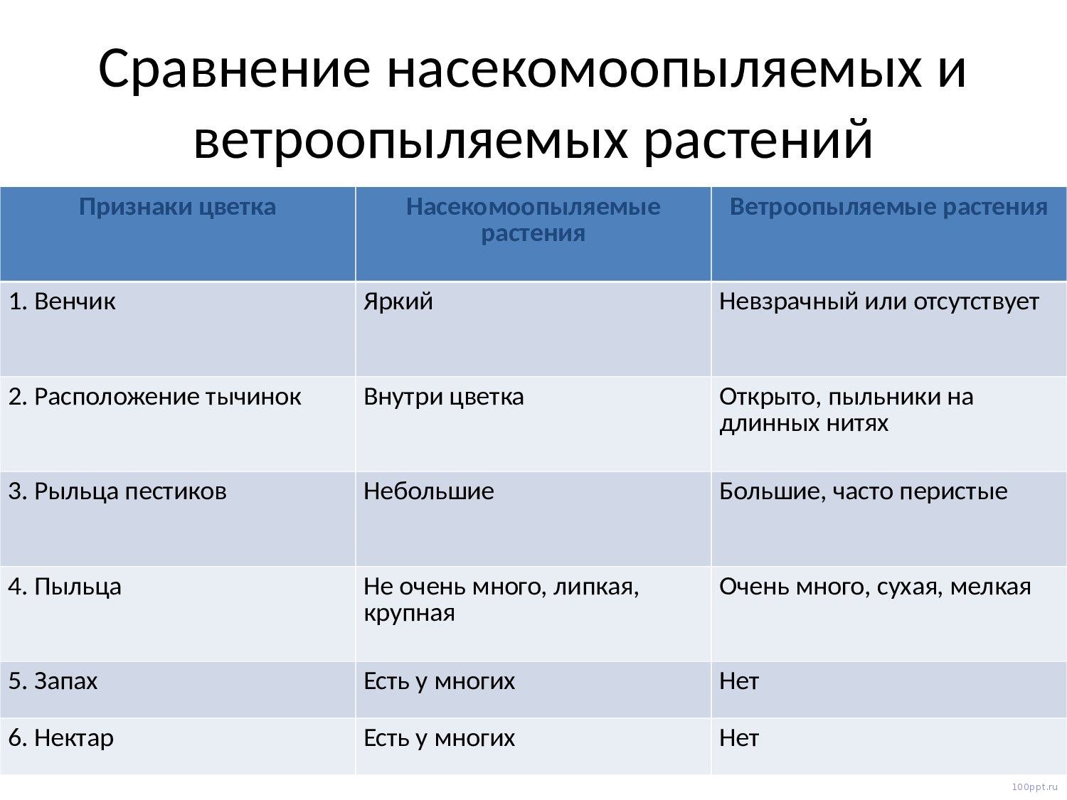 Какие особенности ветроопыляемых растений. Признаки опыления растений таблица. Ветроопыляемые и насекомоопыляемые цветки. Признаки ветроопыляемых растений и насекомоопыляемых растений. Сравнение ветроопыляемых и насекомоопыляемых растений.