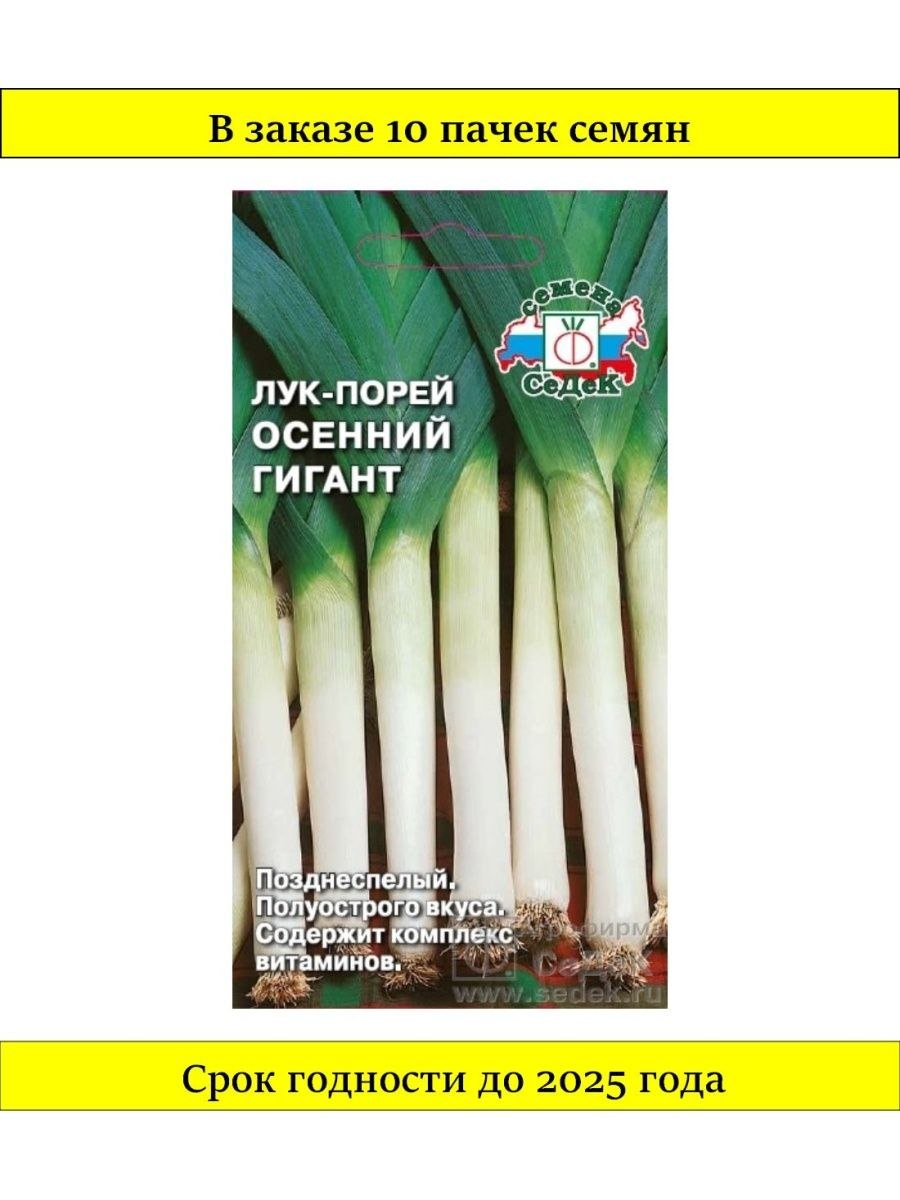 Лук порей осенний гигант СЕДЕК