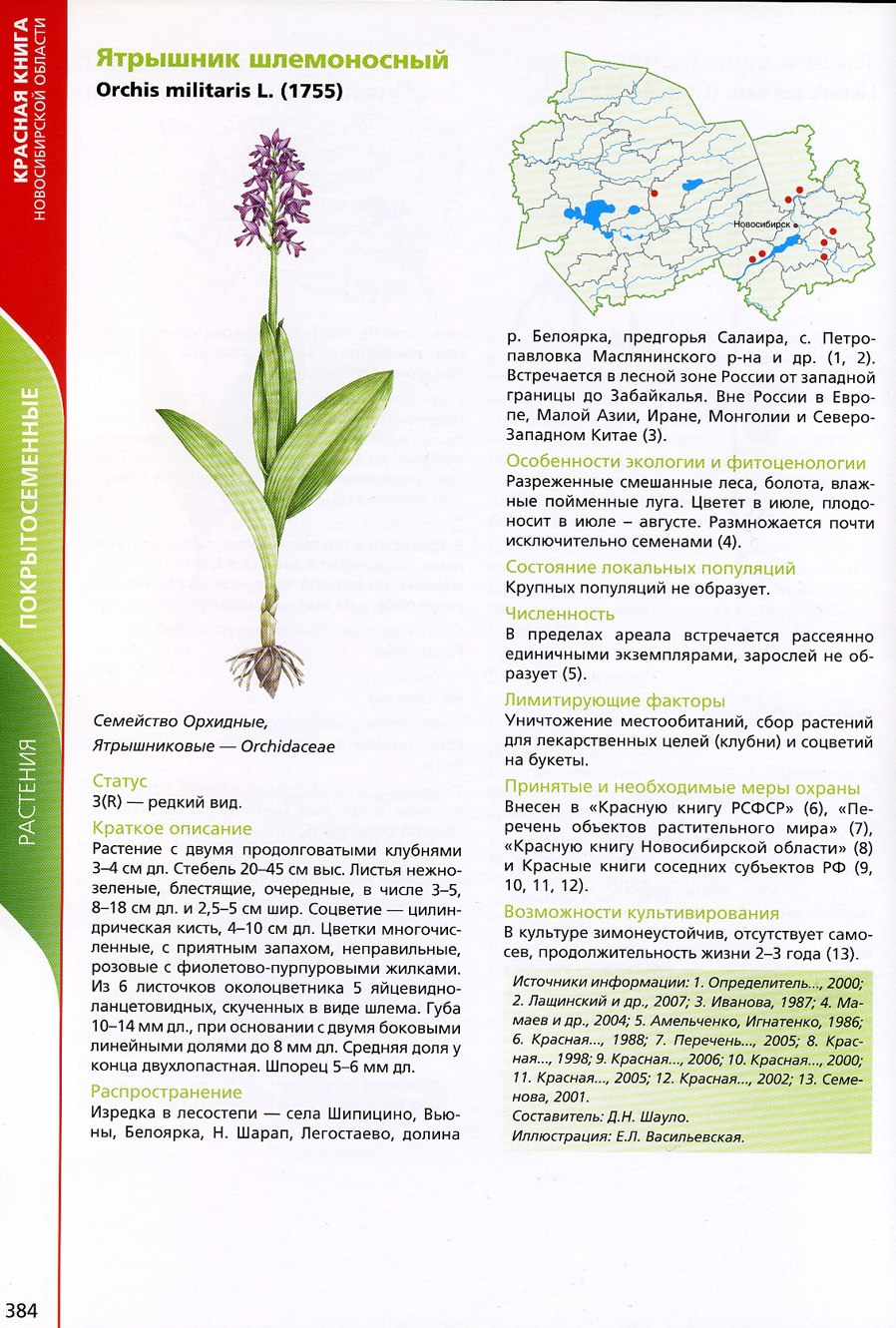 Книга новосибирская область растения