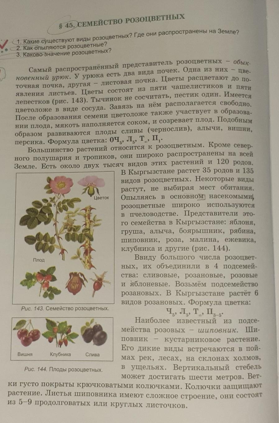 Подсемейство Шиповниковые (Rosoideae) представители