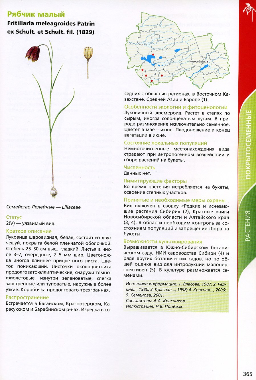 Красная книга растений Новосибирской области растения