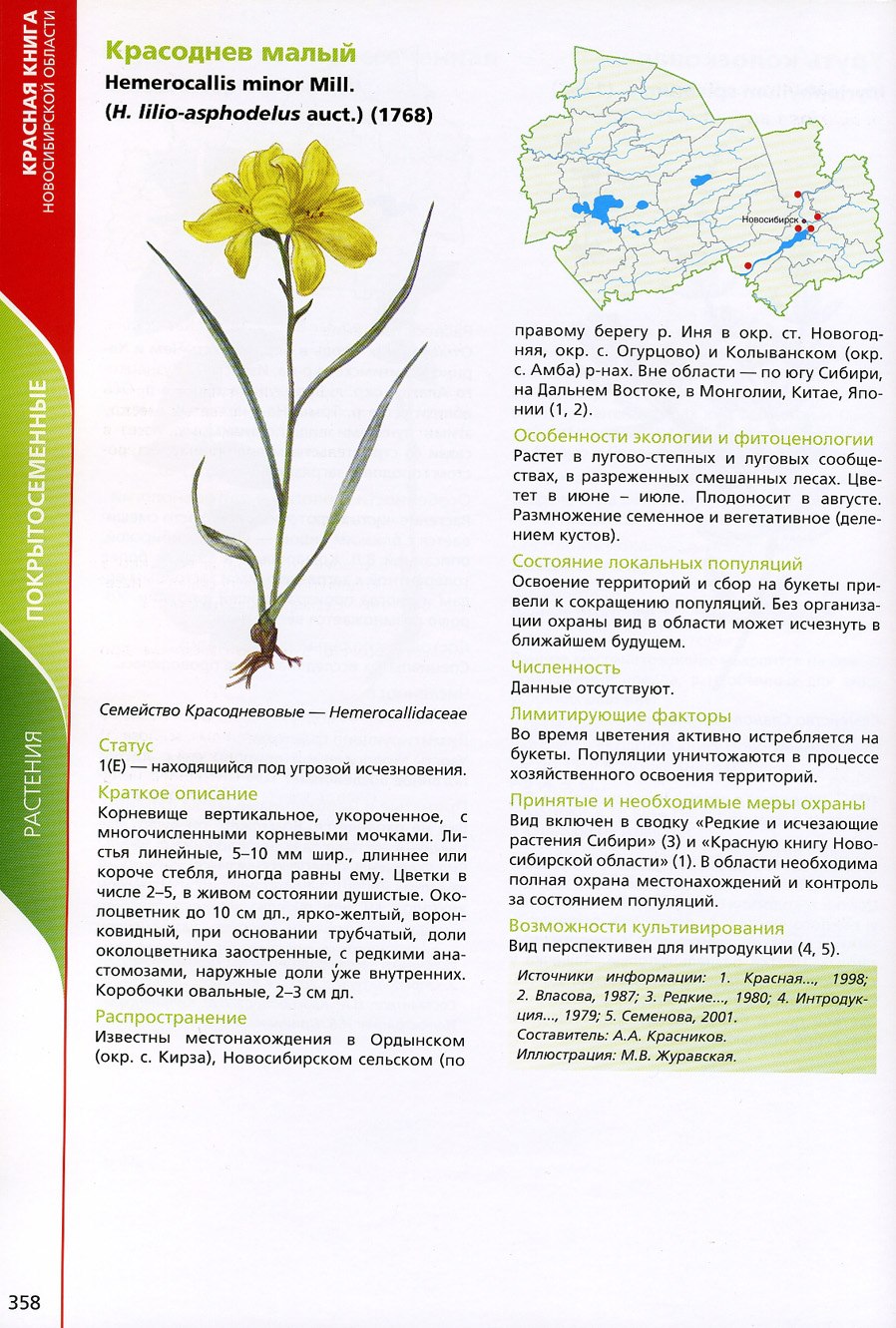 Растения НСО занесенные в красную книгу