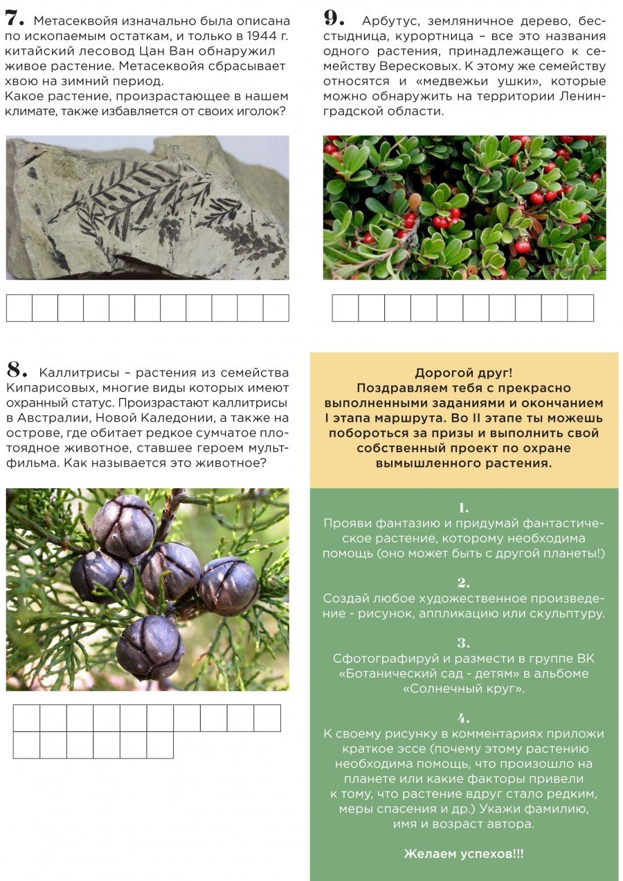 Иберийка Крымская