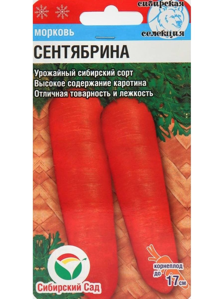 Морковь Сластена Сибирико Сибирский сад