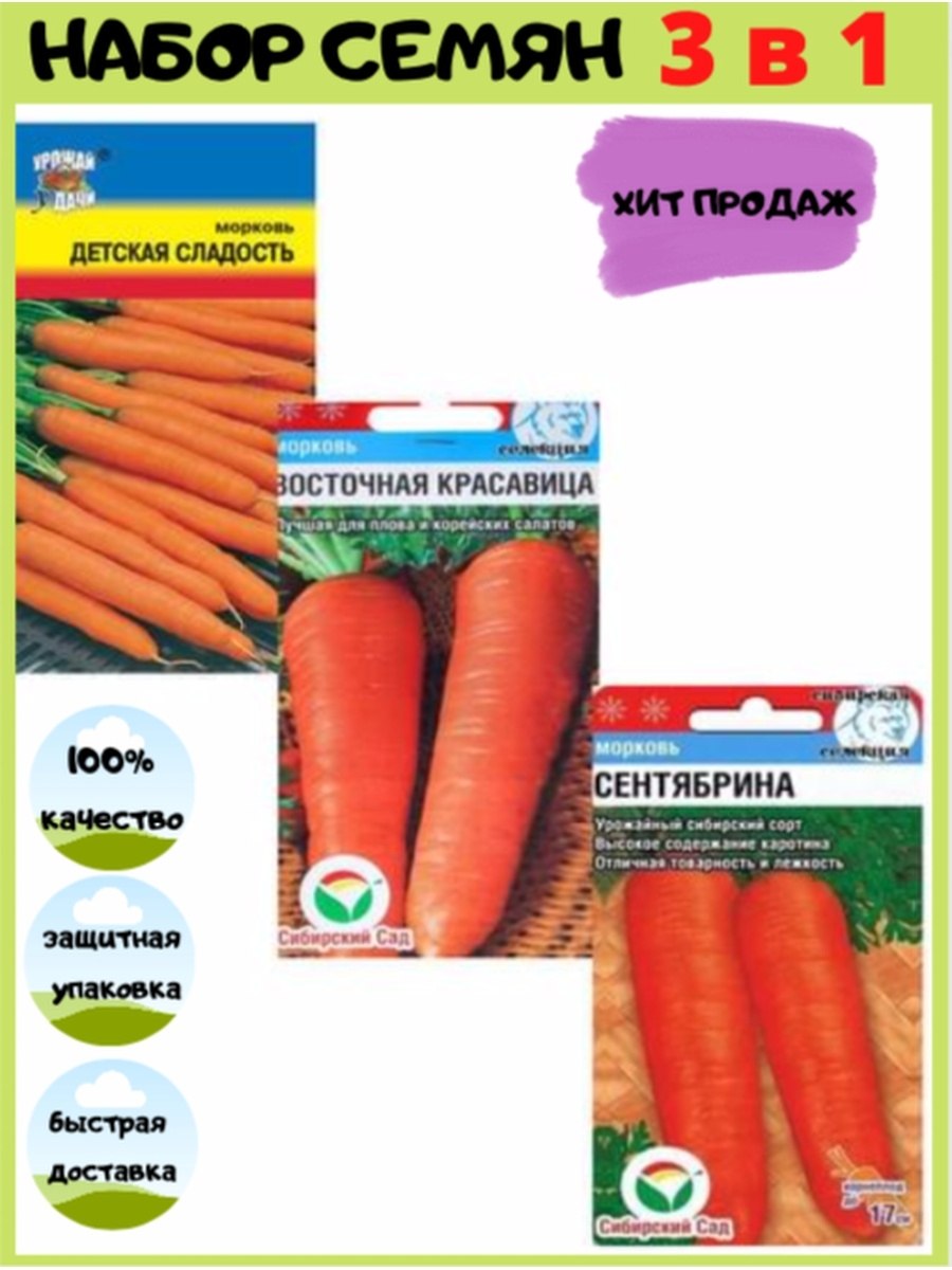 Сорта моркови Лосиноостровская Нантская Королева осени