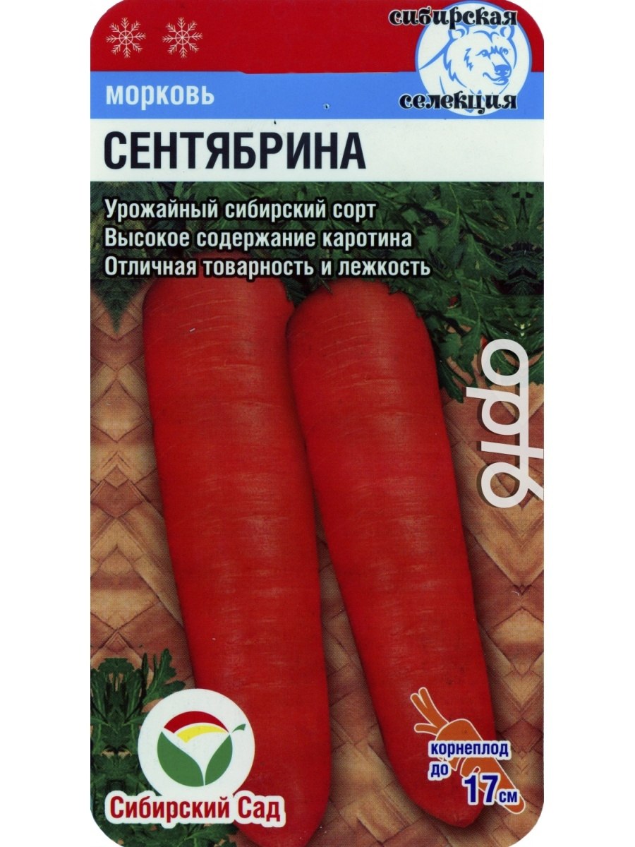 Морковь Сентябрина описание