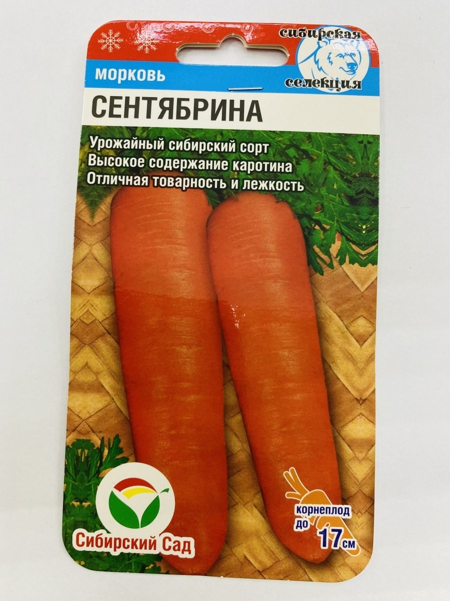 Морковь Нантская 4 улучшенная