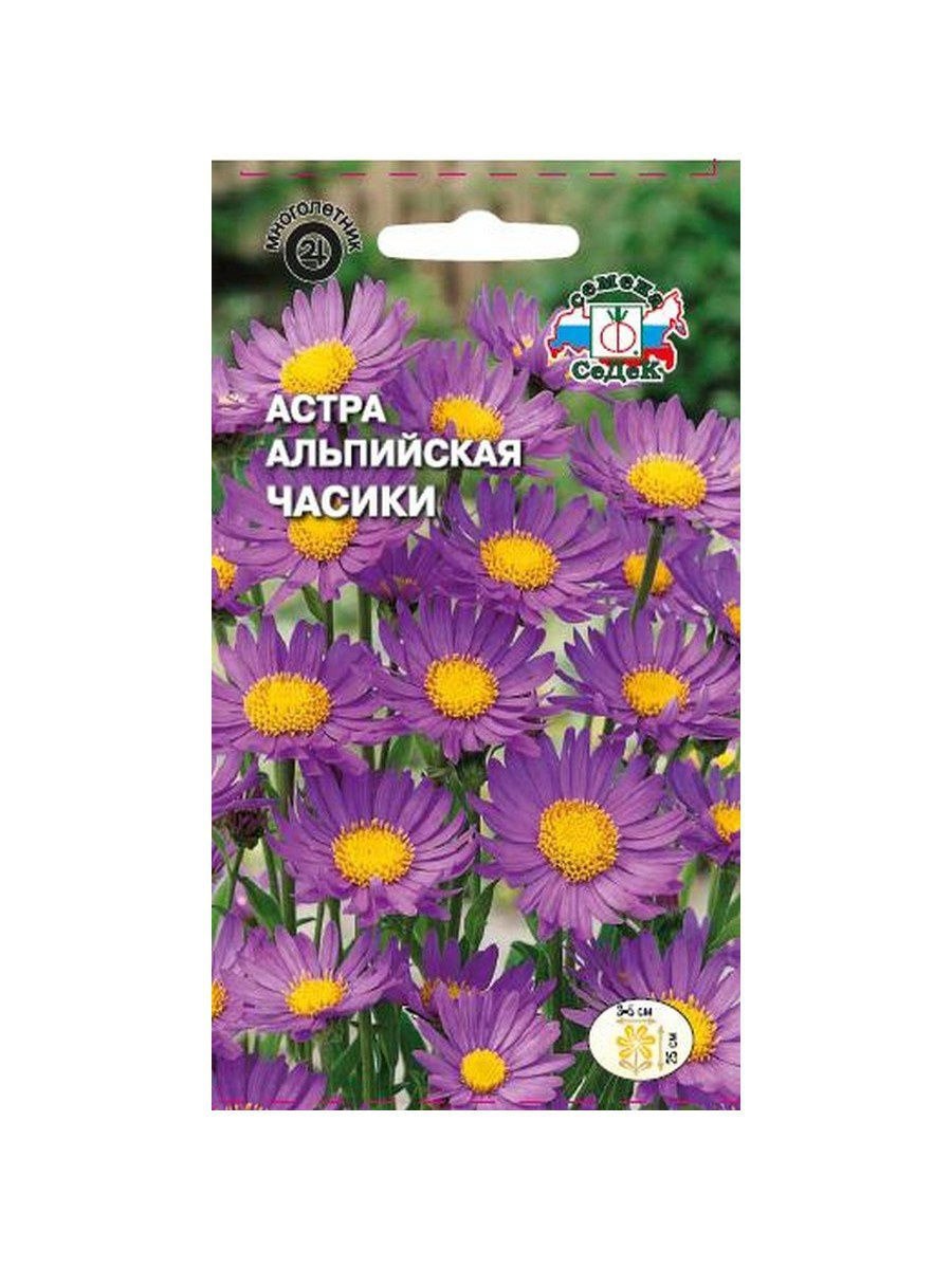 Астры многолетние СЕДЕК